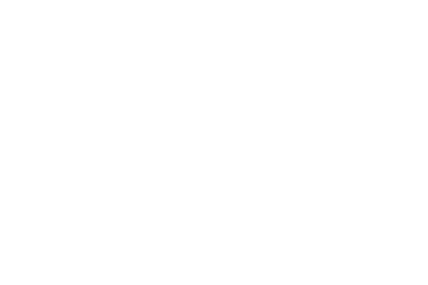 Уголок с пазами 40х145х1950